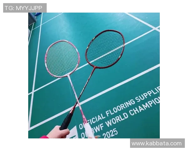 深圳羽毛球队的蜕变之路与深度解析羽毛球运动的未来发展